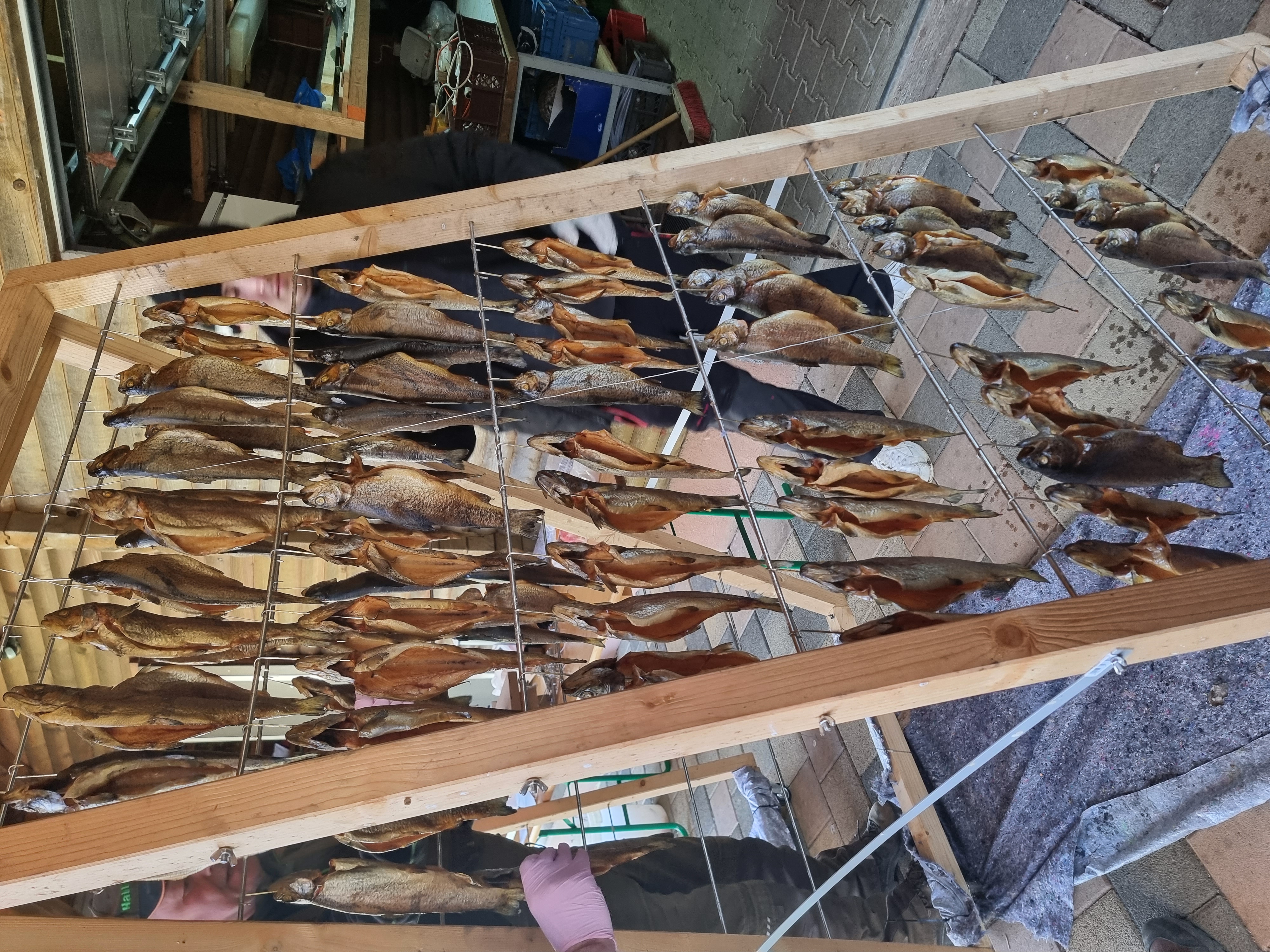 Galeriebild: 20230404 163119